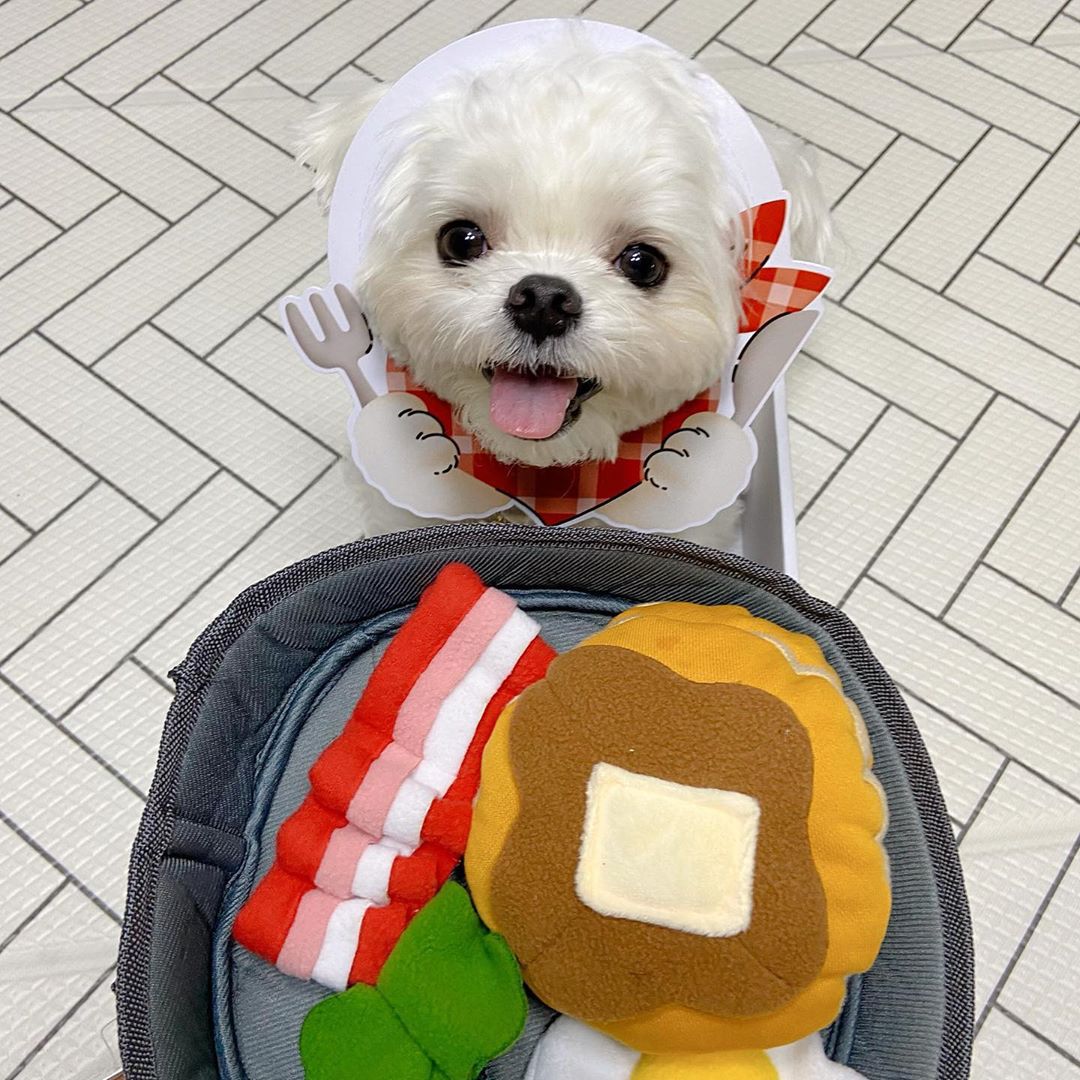 Engage Your Pet with the Ultimate Interactive Food Puzzle Toy